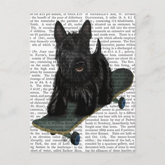 Scottish Terrier and Skateboard Postcard (Front)