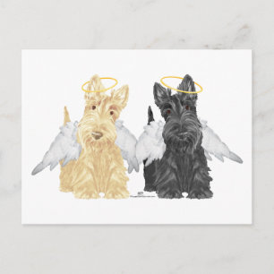 Scottish Terrier Angels Postcard