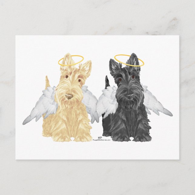 Scottish Terrier Angels Postcard (Front)