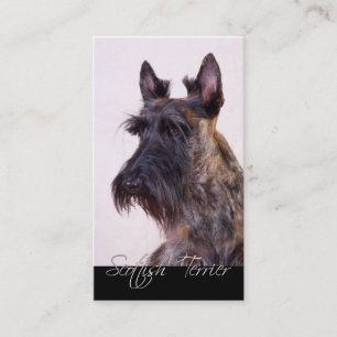 Scottish Terrier Business Cards
