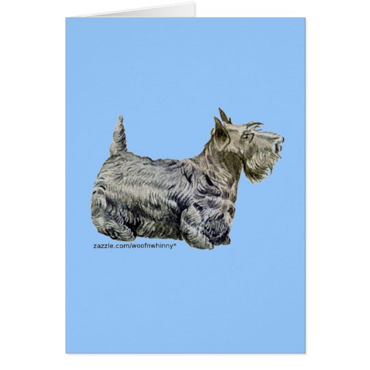 Scottish Terrier Card