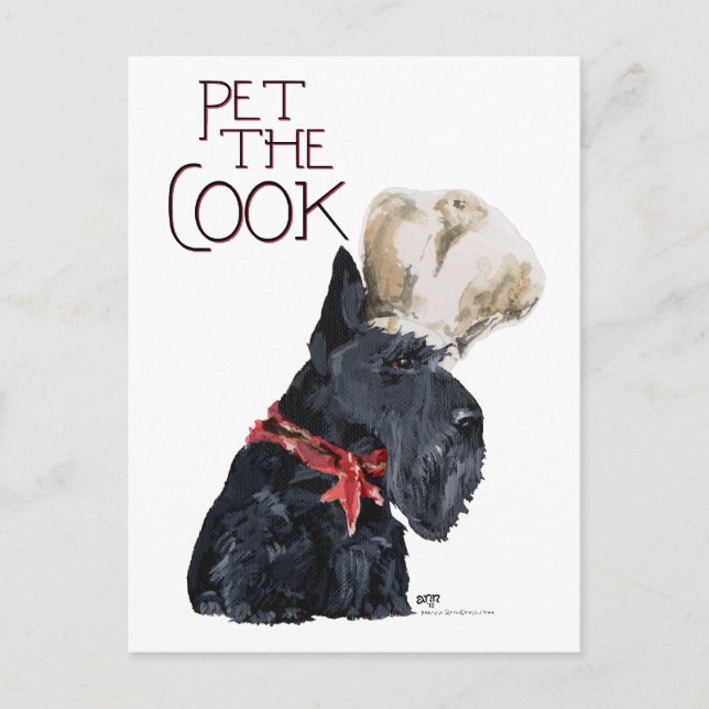 Scottish Terrier Chef Postcard (Front)
