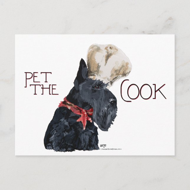 Scottish Terrier Chef Postcard (Front)
