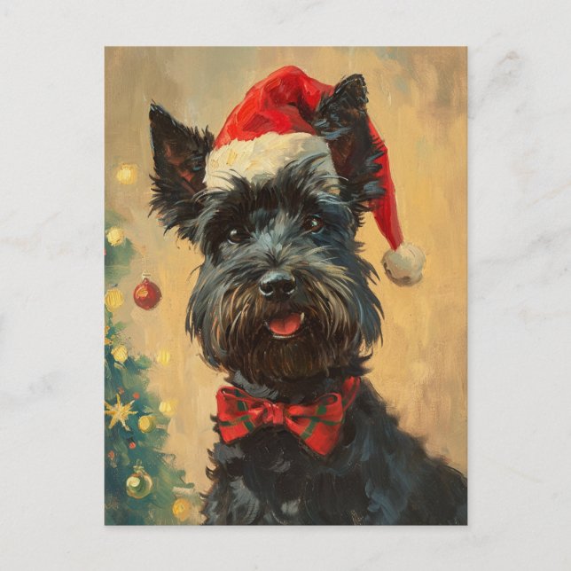 Scottish Terrier Christmas Postcard (Front)