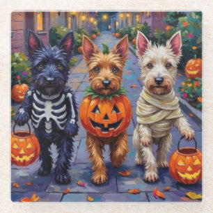 Scottish Terrier Dogs in Halloween Costumes Glass Coaster