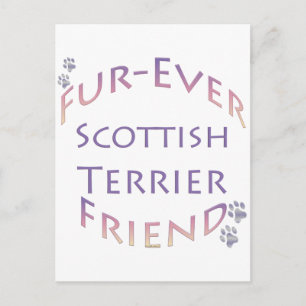 Scottish Terrier Furever Friend Postcard