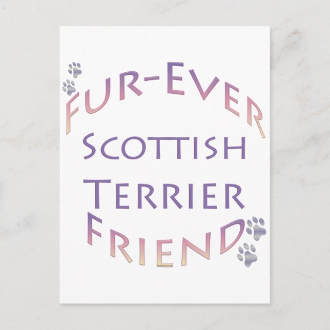 Scottish Terrier Furever Friend Postcard (Front)