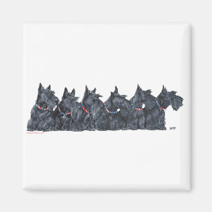 Scottish Terrier Gathering Magnet