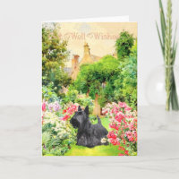 Scottish Terrier Get Well Wishes