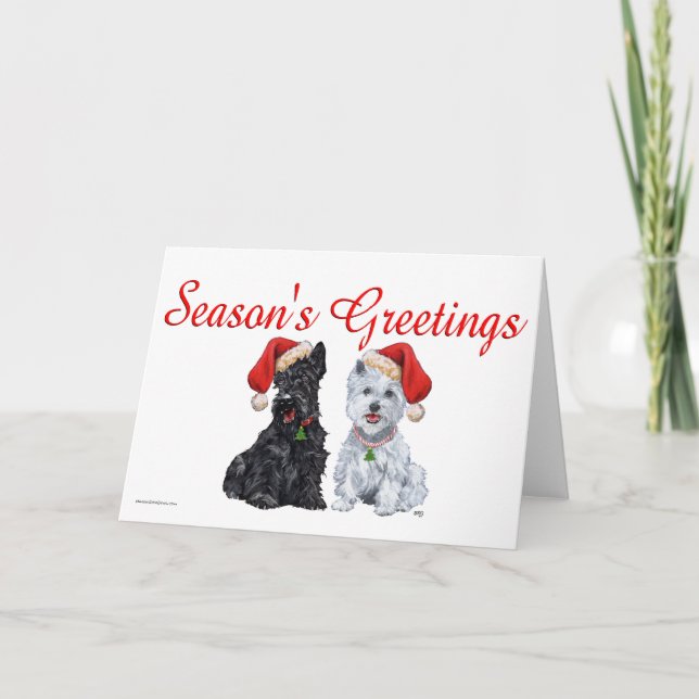 Scottish Terrier Greeting Card (Front)