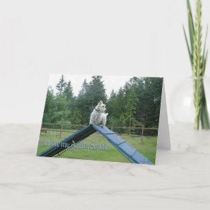 Scottish Terrier Greeting Card