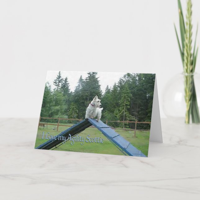 Scottish Terrier Greeting Card (Front)