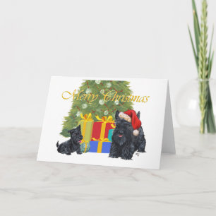 Scottish Terrier Greeting Card