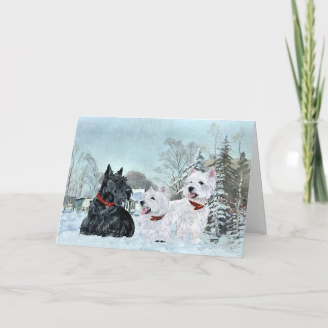 Scottish Terrier Greeting Card (Front)