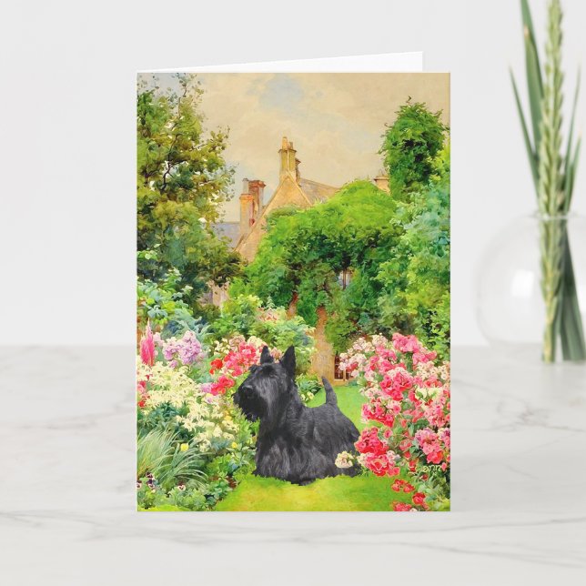 Scottish Terrier Greeting Card (Front)