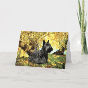 Scottish Terrier Greeting Card