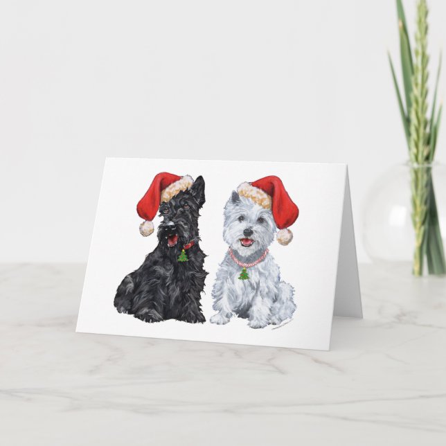 Scottish Terrier Greeting Card (Front)