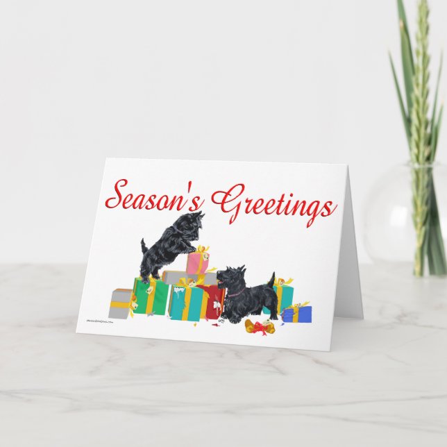Scottish Terrier Greeting Card (Front)