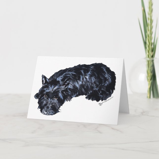 Scottish Terrier Greeting Card (Front)