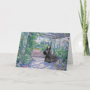 Scottish Terrier Greeting Card
