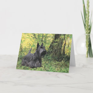 Scottish Terrier Greeting Card