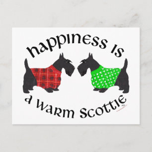 Scottish Terrier Happiness Postcard