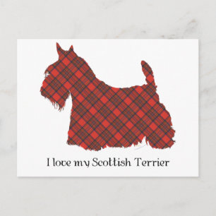 Scottish Terrier Hepburn Tartan Postcard