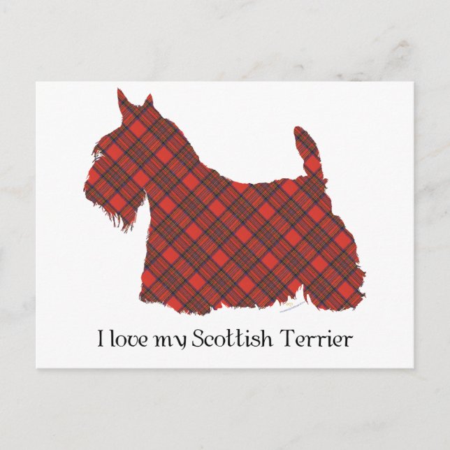 Scottish Terrier Hepburn Tartan Postcard (Front)