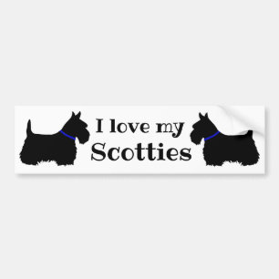 Scottish Terrier, I love my Scotties/blue collar Bumper Sticker