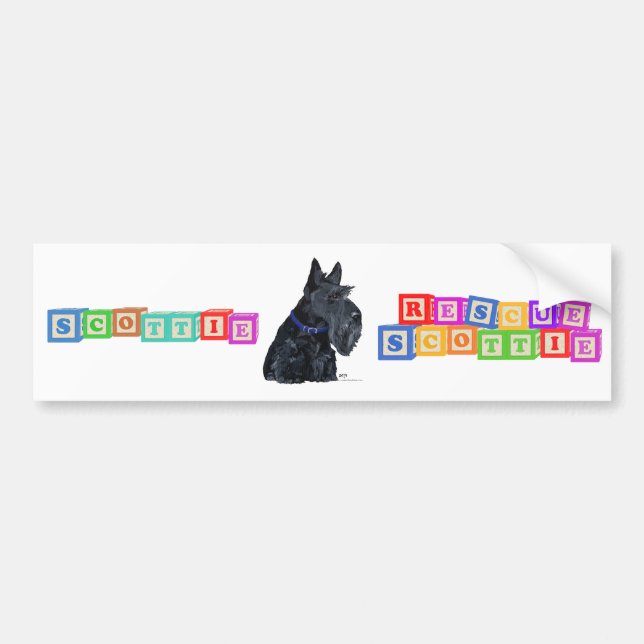 Scottish Terrier in a Blue Collar Bumper Sticker (Front)