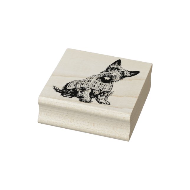 Scottish Terrier in a plaid coat - rubber stamp (Stamp)