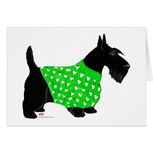 Scottish Terrier in a Sweater (Front Horizontal)