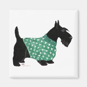 Scottish Terrier in a Sweater Magnet