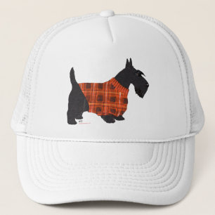 Scottish Terrier in a Sweater Trucker Hat
