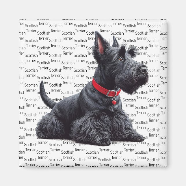 Scottish Terrier in Magnet (Front)