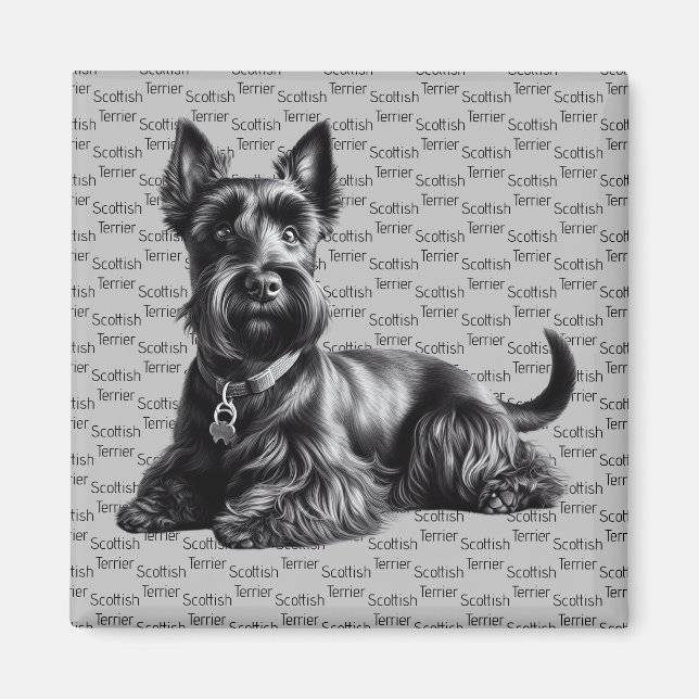 Scottish Terrier in Magnet (Front)