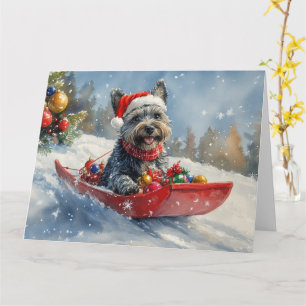 Scottish Terrier in Sledge Let it Snow Christmas Card