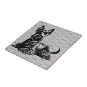 Scottish Terrier in Tile