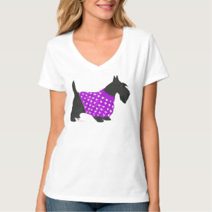 Scottish Terrier in Warm Sweater