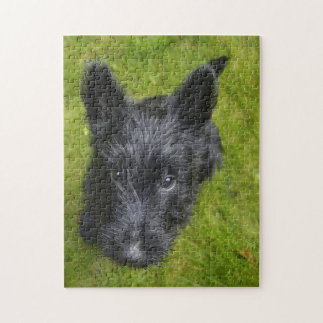 Scottish Terrier Jigsaws. Jigsaw Puzzle (Vertical)