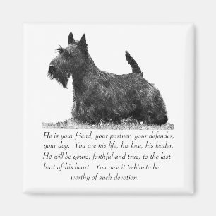 Scottish Terrier Keepsake - MALE Dog Magnet