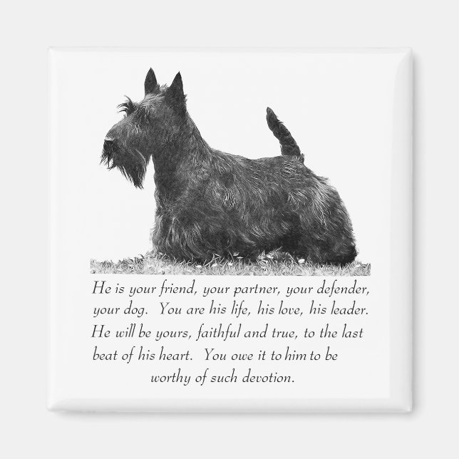Scottish Terrier Keepsake - MALE Dog Magnet (Front)