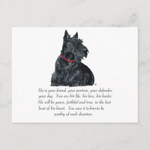 Scottish Terrier Keepsake - MALE Dog Postcard
