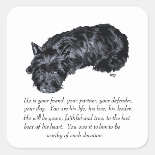 Scottish Terrier Keepsakes - MALE Square Sticker