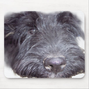 Scottish Terrier Mouse Mat
