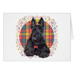 Scottish Terrier on Buchanan Plaid