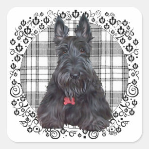 Scottish Terrier on Tartan Square Sticker