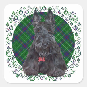 Scottish Terrier on Tartan Square Sticker