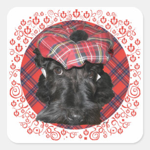 Scottish Terrier on Tartan Square Sticker
