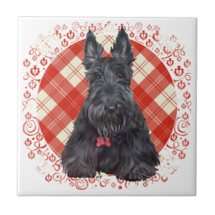 Scottish Terrier on Tartan Tile